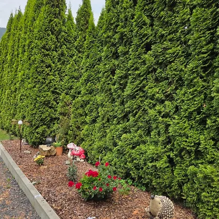 Haus Jassy Apartment Sautens