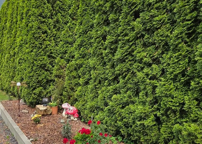 Haus Jassy דירה סאוטנס